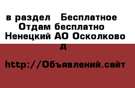  в раздел : Бесплатное » Отдам бесплатно . Ненецкий АО,Осколково д.